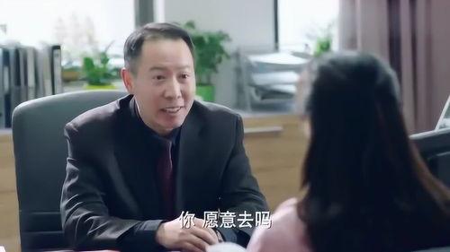 校长的欲望,共创教育辉煌未来  第2张